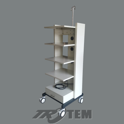 Trolley endoscopy MS